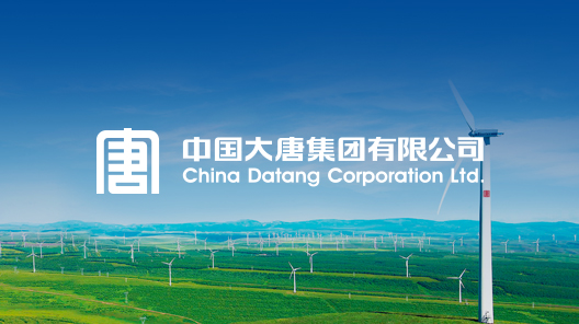 تأسست شركة داتانغ الصينية (China Datang Corporation Limited) في 29 ديسمبر 2002، وهي مؤسسة مركزية عملاقة مملوكة للدولة في قطاع الطاقة وتخضع للإدارة المباشرة للحكومة المركزية، برأسمال مسجّل قدره 37 مليار يوان. وتضطلع بمهمة مهمة تتمثل في ضمان أمن الطاقة الوطني، وخدمة التنمية الاقتصادية والاجتماعية، والمساهمة في بناء «الصين الجميلة».
