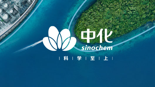 شركة Sinochem Holdings Co., Ltd (اختصاراً: Sinochem Holdings) تشكلت من خلال إعادة التنظيم المشترك بين شركة Sinochem Group Co., Ltd وشركة China National Chemical Corporation Ltd، وقد تم الإعلان الرسمي عن تأسيسها في 8 مايو 2021، وهي مؤسسة رئيسية مملوكة للدولة تحت إشراف لجنة مراقبة وإدارة الأصول المملوكة للدولة التابعة لمجلس الدولة الصينية، ولديها 210,000 موظف.